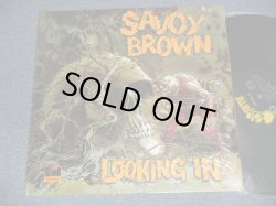 画像1: SAVOY BROWN - LOOKING IN (MINT/MINT-) / 1970 US AMERICA ORIGINAL Used LP 
