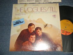 画像1: THE VOGUES - TILL (Ex+++/MINT-) / 1969 US AMERICA ORIGINAL 1st Press "ORANGE & BROWN Label" Used LP 