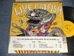 画像1: CATFISH Featuring Bob Hodge - Live Catfish (Ex++/Ex++ Looks:MINT-)1970 US AMERICA ORIGINAL "PROMO SHEET" 1st Press "YELLOW Label" Used LP