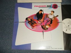 画像1: PAULCATS - ARE GO (MINT-/MINT-) / EUROPE LIMITED  EDITION Used LP