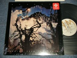 画像1: BAUHAUS - BURNING FROM THE INSIDE (With CUSTOM INNER SLEEVE) (MINT-/MINT-) /  1983 US AMERICA ORIGINAL Used LP