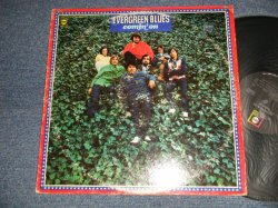 画像1: EVERGREEN BLUES - COMIN' ON (Ex-/Ex+++ BB, EDSP) / 1969 US AMERICA ORIGINAL STEREO Used LP