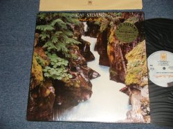 画像1: CAT STEVENS - BACK TO EARTH (STERLING Mastered) (MINT/MINT) / 1978 US AMERICA ORIGINAL Used LP 