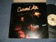 CURVED AIR - CURVED AIR  LIVE  (Ex+/MINT-) / 1975 US AMERICA ORIGINAL Used LP 