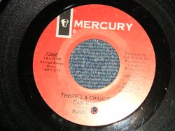 画像1: BLUES MAGOOS - A)There's A Chance We Can Make It / Pipe Dream   B)Pipe Dream (Ex++ Looks:VG/Ex++ Looks:VG BB, CRACK:MINT- BB) / 1967 US AMERICA ORIGINAL Used 7" Single