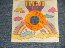 画像1: The Main Ingredient - A)Everybody Plays The Fool  B)Who Can I Turn To (When Nobody Needs Me) (Ex++/Ex+) /1972 US AMERICA ORIGINAL Used 7"45 