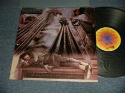 画像1: STEELY DAN - THE ROYAL SCAM (With CUSTOM INNER SLEEVE) (Matrix #A)AB-931-A  RE K AZ [BIRD]  B)AB-931-B K AZ) "GOLDDISC RECORDINGPRODUCTS Press in HOLBROCK in NY" (Ex++/Ex+++)/ 1976 US AMERICA ORIGIBAL "YELLOW TARGET Label" Used LP 