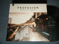 画像1: PROFUSION - WHERE DO I BEGIN? (MINT/MINT-) / 1997 EUROPE ORIGIONAL Used LP