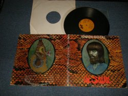画像1: HARVEY MANDEL - THE SNAKE (Ex-/Ex+++ EDSP) / 1972 US AMERICA ORIGINAL Used LP 