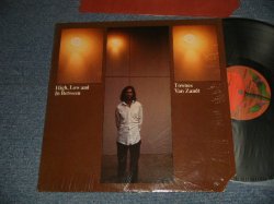 画像1: TOWNES VAN ZANDT - HIGH, LOW AND BETWEEN (Ex+++/Ex+++ Cutout) / 1972 US AMERICA ORIGINAL Used LP 