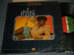 画像1: GENE PAGE - HOT CITY  (PR Press) (Ex+++/Ex+++)  / 1974 US AMERICA ORIGINAL 1st Press "75 ROCKFELLER Label" Used LP   