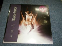 画像1: SMASHING PUMPKINS - CYS (SEALED) / 2020 WORLDWIDE ORIGINAL "180 Gram" "BRAND NEW SEALED" 2-LP 