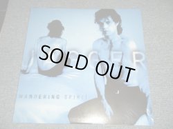 画像1: MICK JAGGER - WANDERING SPIRIT (SEALED) / 2019 Version EU  EUROPE REISSUE "REMASTERED"  "180 Gram" "BRAND NEW SEALED" 2-LP