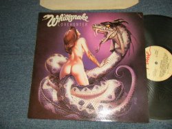 画像1: WHITESNAKE - LOVE HUNTER (Ex/MINT-) / UK ENGLAND REISSUE Used LP 