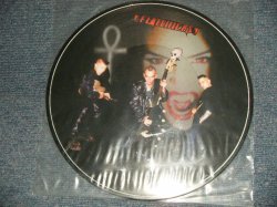 画像1: The FLATLINERS - The FLATLINERS (- / MINT-) / 1999 GERMANY OIGINAL "PICTURE DISC" Used 10" LP