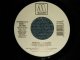 STEVIE WONDER - THESE TREE WORDS (SAME FLIP)  (Ex+++/Ex+++)/ 1991 US AMERICA ORIGINAL  Used 7" 45 rpm Single  