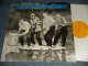 Sir Bald Diddley And His Right Honourable Big Wigs - Surfin' With Sir Bald Diddley And His Right Honourable Big Wigs  (NEW)  / 1992 UK ENGLAND ORIGINAL"BRAND NEW" LP