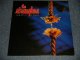 The STRANGLERS - ABOUT TIMES(SEALED) / 1995 UK ENMGLAND ORIGINAL "BRAND NEW SEALED" 2-LP's