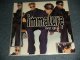 IMMATURE - WE GOT IT (SEALED) / 1995 US A,MERICA ORIGINAL "BRAND NEW SEALED" LP