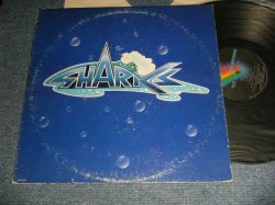 画像1: SHARKS (CHRIS SPEDDING) - FIRST WATER (Ex-/Ex+++) / 1973 US AMERICA ORIGINAL Used LP 
