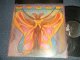 MTUME - IN SEARCH OF THE RAINBOW SEEKERS (With CUSTOM INNER) (Ex+/MINT-) / 1980 US AMERICA ORIGINAL Uded LP 