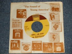 画像1: THE MARVELETTES - A)HERE I AM BABY    B)KEEP OFF, NO TRESSPASSING  (Ex++/Ex++)  / 1968 US AMERICA ORIGINAL Used  45rpm 7" Single  