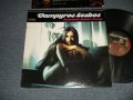 Manfred Hübler & Siegfried Schwab - Vampyros Lesbos: Sexadelic Dance Party (Ex++/MINT-) / 1996 US AMERICA ORIGINAL Used LP