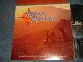 MICHAEL MURPHEY - PEAKS VALLEY S HONKY TONKS & ALLEYS  (With CUSTOM SLEEVE)(MINT-/MINT) / 1979 US AMERICA ORIGINAL "1st Press Label" Used LP