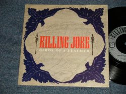 画像1: KILLING JOKE - BIRDS OF A FEATHER (NEW)  / 1982 UK ENGLAND ORIGINAL Used 7" Single With PICTURE SLEEVE