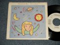 FLEETWOOD MAC -  EVERYWHERE  (Ex+++/MINT-)  / 1987 US AMERICA ORIGINAL Used 7" Single with PICTIRE SLEEVE