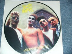 画像1: FRANTIC FLINTSTONES - A NIGTHMARE ON NERVOUS (With INSERTS)  (NEW) /2001 GERMANY GERMAN "PICTURE DISC" "Brand New" LP Found Dead Stock 