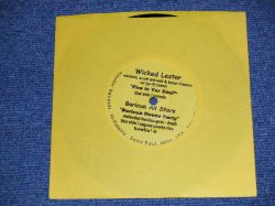 画像1: A) Wicked Lestor / B) Boricua All Stars (Electronic) - A) Fire In Yer Soul / B) Boricua House Party  (NEW) / 2001 US AMERICA ORIGINAL "BRAND NEW" 7" Single