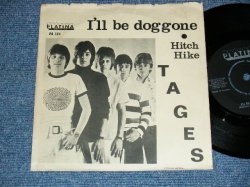 画像1: TAGES - A)I'LL BE DOGGONE  B) HITCH HIKE (Ex/Ex++)  / 1966 SWEDEN  ORIGINAL Used 7"Single with PICTURE SLEEVE 