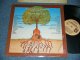 Roots Of Rock 'N' Roll Against Famine - "Our Message To The People" (For The Children) (MINT-/MINT-) / 1986 US AMERICA ORIGINAL Used 12"
