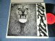 SANTANA - SANTANA (Debut Album)(Matrix #A)XSM-139377-11AF P B)XSM-139378-1AB P) "PITMAN Press in NEW JERSEY"  (Ex+++, Ex++/MINT-) / Early 1970's VersionUS AMERICA RE-Press REISSUE Used LP 