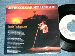 画像1: John Cougar Mellencamp  A) Rain On The Scarecrow  B) Pretty Ballerina (Ex++/MINT-) /1985 US AMERICA ORIGINAL Used 7" Single