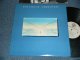 DIRE STRAITS - COMMUNIQUE  (With CUSTOM INNER)(Ex+++/MINT-) / 1979 US AMERICA ORIGINAL  Used LP