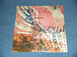 画像3: PHOENIX - PHOENIX (Ex++/Ex+++) / 1969 US AMERICA ORIGINAL 1st Press "BLACK' Label" Used LP 