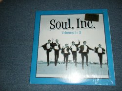 画像1: SOUL,INC. - VOLUME 1 & 2 (NEW) / 2001? ITALY Limited 180 GRAM ORIGINAL Brand New 2LP's 