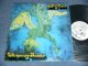 JEFFREY CAIN (Produced by JESSE COLIN YOUNG of The YOUNGBLOODS) - WHISPERING THUNDER (Ex++/MINT- CUT OUT for PROMO) / 1972 US AMERICA ORIGINAL "WHITE LABEL PROMO"  Used LP 