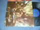 CCR CREEDENCE CLEARWATER REVIVAL - BAYOU COUNTRY (Matrix #A)F 2715 H B)F 2716 H) "HOLLYWOOD Press" (Ex+++/Ex+++, Ex+++ Looks:Ex++) / 1969 US AMERICA ORIGINAL Early Press "HEAVY WEIGHT WAX Vinyl"  "DARK BLUE with GOLD PRINT Label" Used LP 