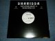 SHARISSA - ANY OTHER NIGHT (NEW)/ 2001 US AMERICA ORIGINAL "BRAND NEW" 12" Single  