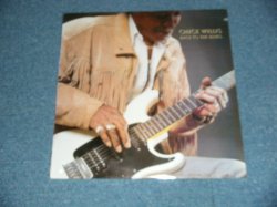 画像1: Chick Willis - Back To The Blues  (Sealed) / 1991 US AMERICA  ORIGINAL "BRAND NEW SEALED" LP