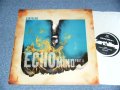 Earthling - Echo On My Mind Part II (NEW) / 1995 UK ENGLAND ORIGINAL "BRAND NEW" 12" Single  