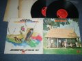 AREA CODE 615 - AREA CODE 615  / TRP IN THE COUNTRY (Ex++/MINT-) / 1974 UK ENGLAND ORIGINAL Used 2-LP 