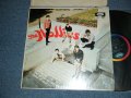 THE HOLLIES - HITS OF THE HOLLIES(MINT-/MINT-) / 1967CANADA ONLY ORIGINAL "DUOPHONIC STEREO" Used LP 
