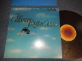 AMAZING RHYTHM ACES - TOUCAN DO IT TOO (With CUSTOM INNER) (Ex++/Ex+++) / 1977 US AMERICA ORIGINAL "PROMO" Used LP