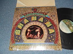 画像1: SHA NA NA   Shanana - ROCK & ROLL IS HERE TO STAY (MINT-/Ex+++ EDS@P) / 1973 Version US AMERICA REISSUE Used LP