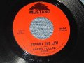 BOBBY FULLER FOUR - A) I FOUGHT THE LAW  B) LITTLE ANNIE LOU  (MINT-/Ex+++)  / 1966 US AMERICA ORIGINAL Used  7"Single 