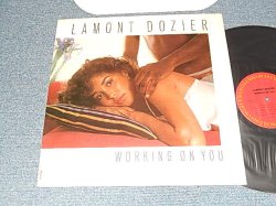 画像1: LAMONT DOZIER - WORKING ON YOU  (Ex++/Ex+++) / 1981 US AMERICA ORIGINAL Used LP 